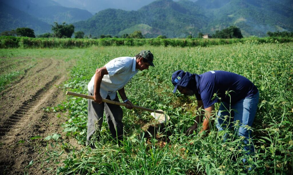 Diesel em falta e fertilizante dispara: agro sente