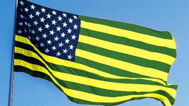 Estados Unidos do Brasil