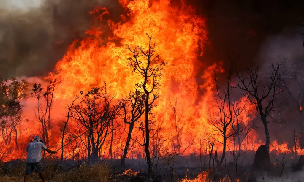 incêndios