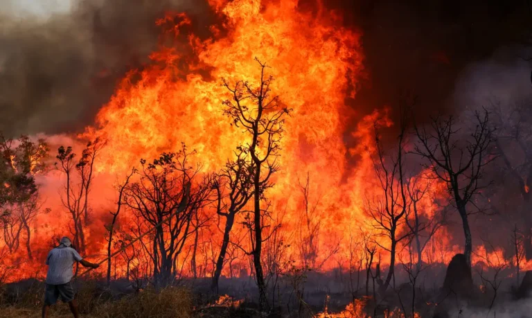 Incêndios no Brasil: 1.819 focos registrados em fevereiro