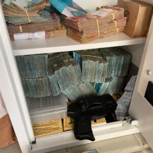 PF cumpre 29 mandados em 7 estados e no DF.