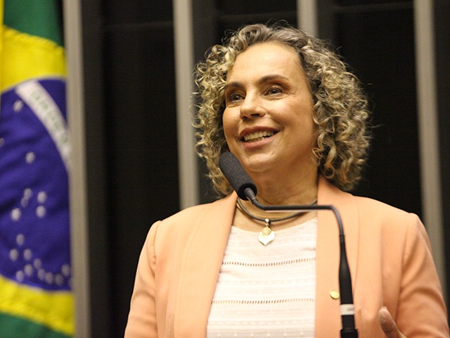 Representação de Ana Paula Lima mira parlamentares do PL e reacende debate sobre uso da PGR em disputas partidáriasfoto: Câmara dos Deputados