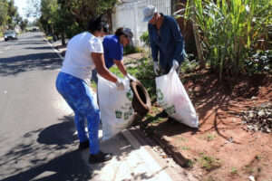 Brasil soma 1,6 milhão de casos de dengue. Ações de combate ainda são a melhor forma e prevenção da doença.