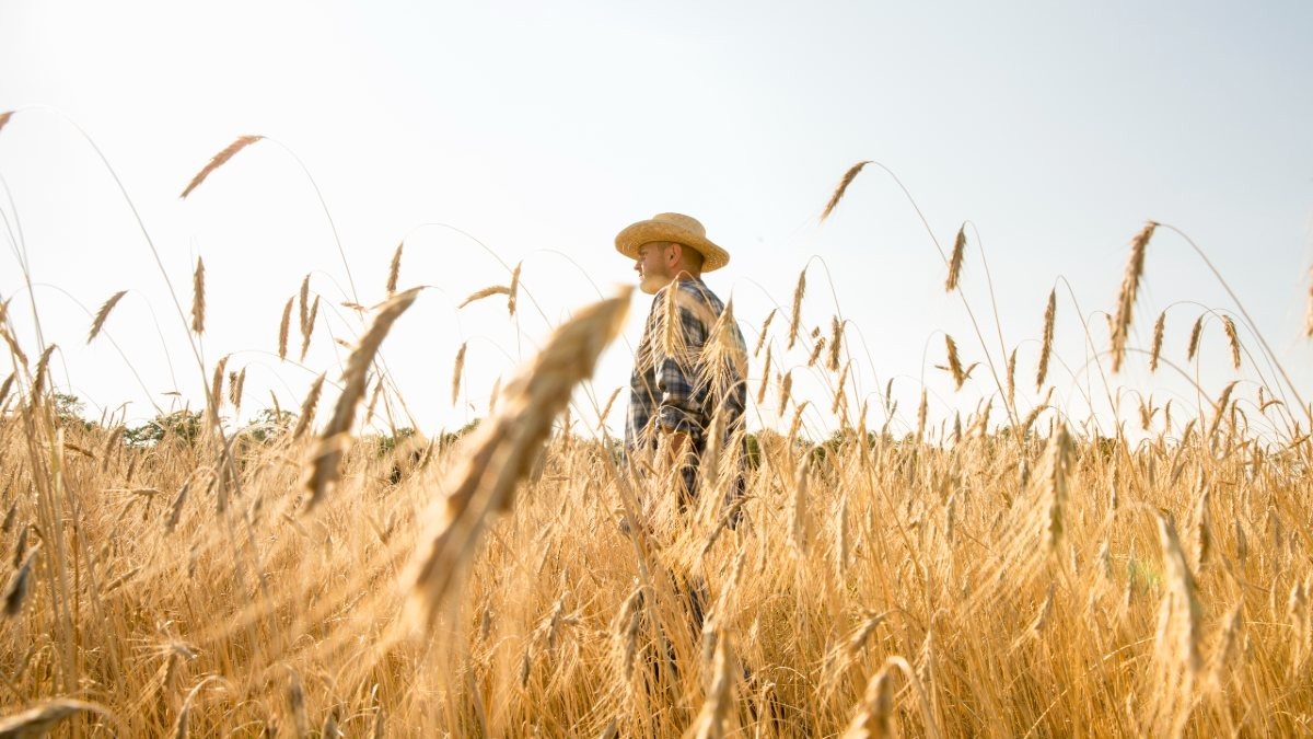 Crédito rural - “O produtor rural foi empurrado para o endividamento. O governo cobra caro pelo crédito e, ao mesmo tempo, não garante segurança jurídica nem infraestrutura para escoar a produção”, avaliou o advogado Ermiro Ferreira Neto, especialista em direito empresarial.
