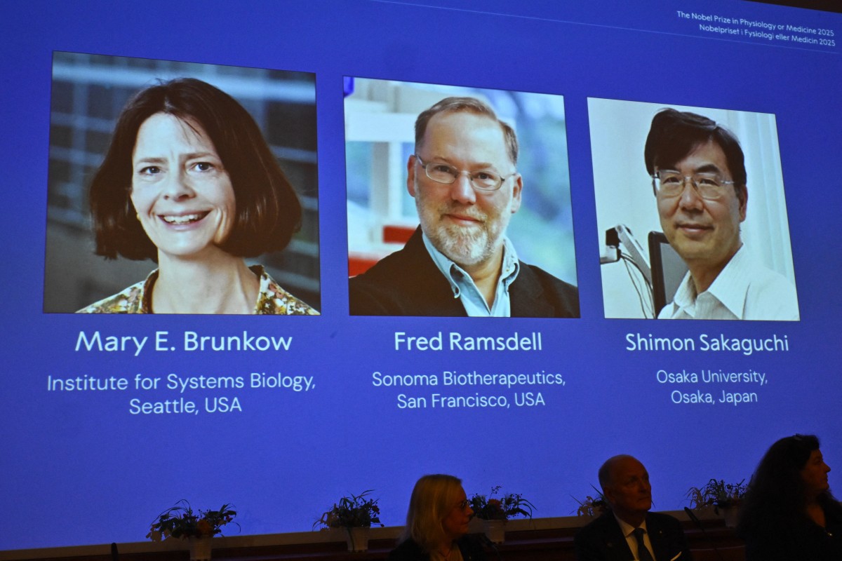 Mary Brunkow, Fred Ramsdell e Shimon Sakaguchi recebem Nobel de Medicina de 2025 por descobertas sobre tolerância imunológica periférica