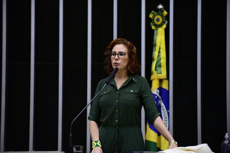 Deputada Carla Zambelli (PL-SP) Foto: Reprodução