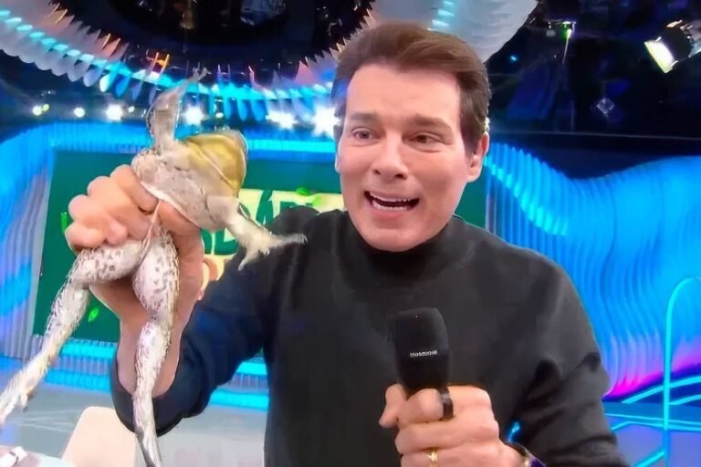 MP investiga Portiolli e SBT por maus-tratos a rã