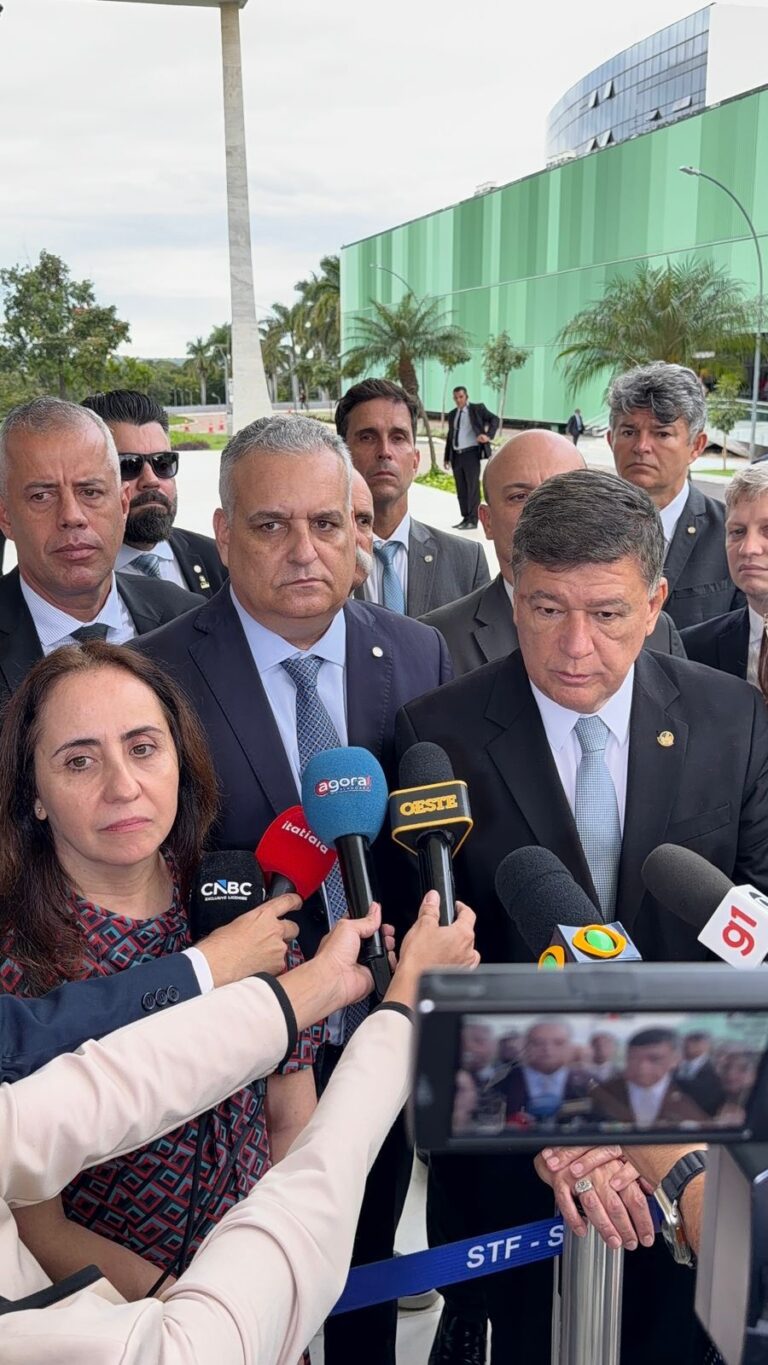 “Governo tentou enterrar investigações”, diz Gaspar ao levar relatório da CPMI ao STF
