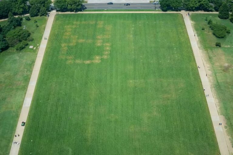 Polícia dos EUA investiga inscrição com “8647” em gramado de área turística em Washington