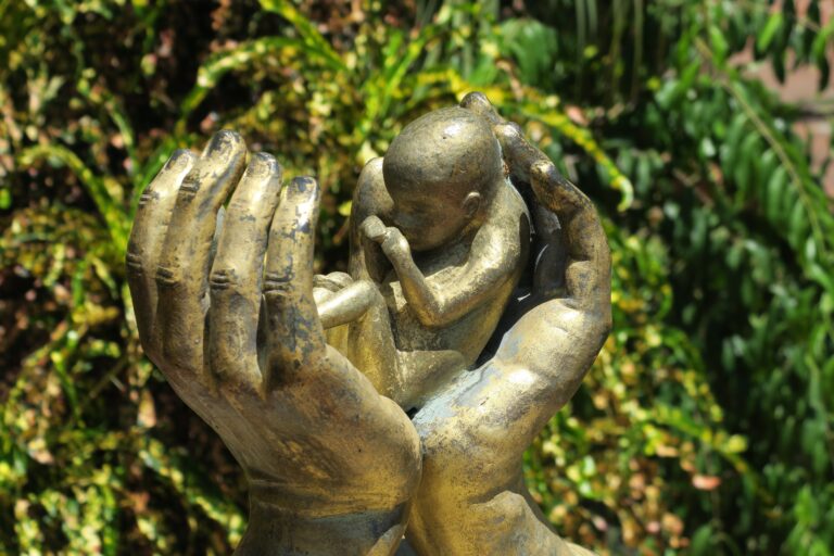 Senado derruba norma que facilitava aborto em menores